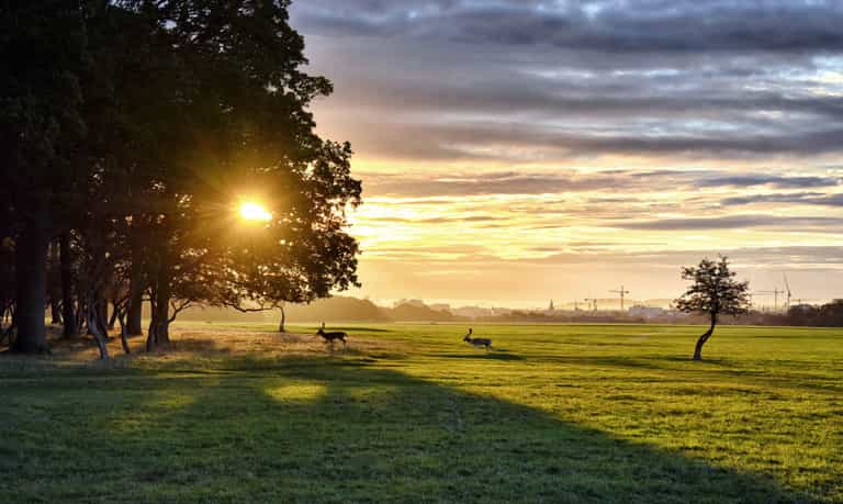 Met Éireann gives positive update for mostly dry weekend ahead