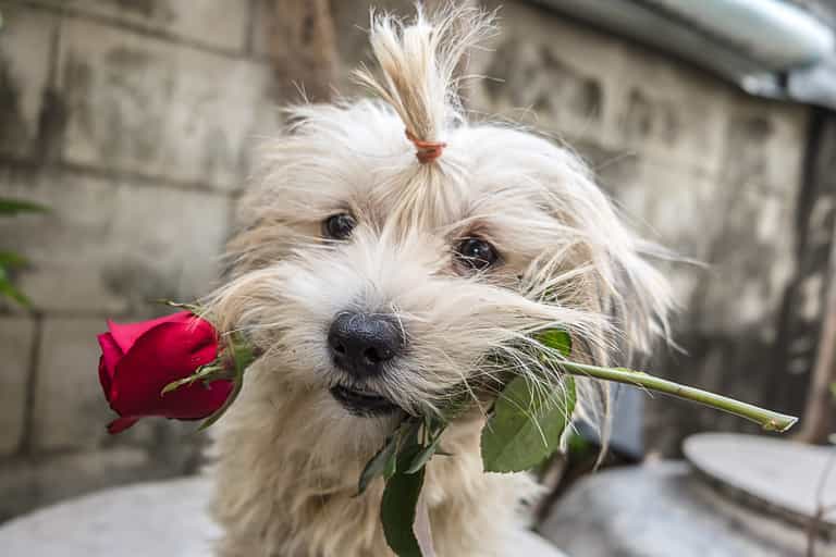 Five fun, alternative ways to celebrate Valentine’s Day this weekend